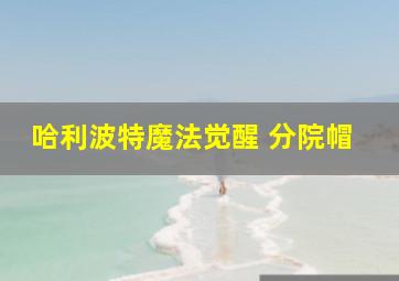 哈利波特魔法觉醒 分院帽